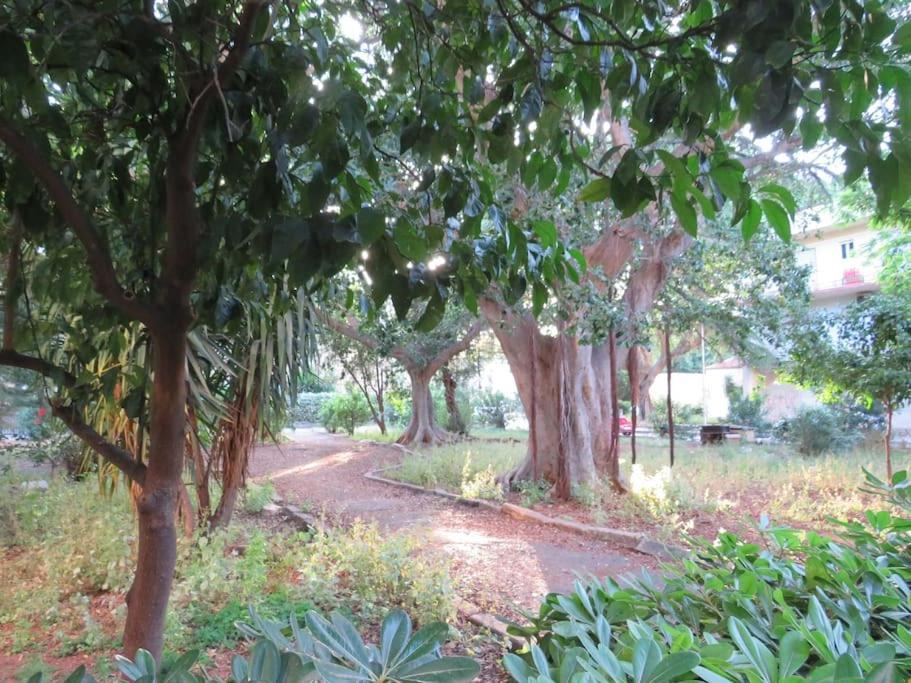 Relax Nel Verde- Giodapi Palm Palermo Eksteriør bilde